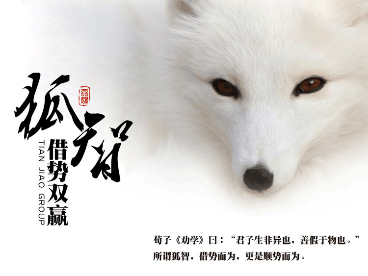 天娇集团企业文化