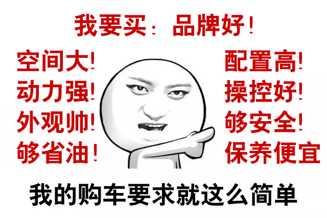 买车完美主义型