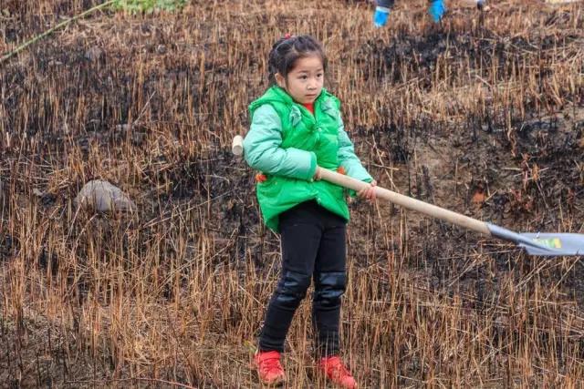 建设生态邵阳城，天娇集团在行动