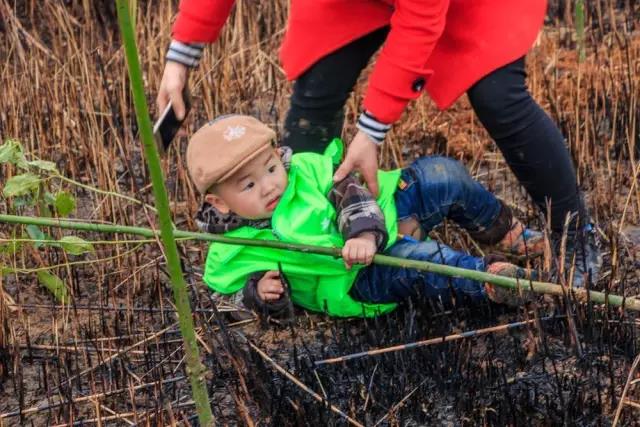 建设生态邵阳城，天娇集团在行动