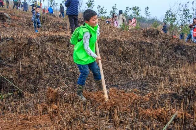 建设生态邵阳城，天娇集团在行动