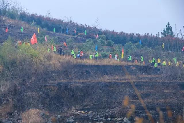 建设生态邵阳城，天娇集团在行动