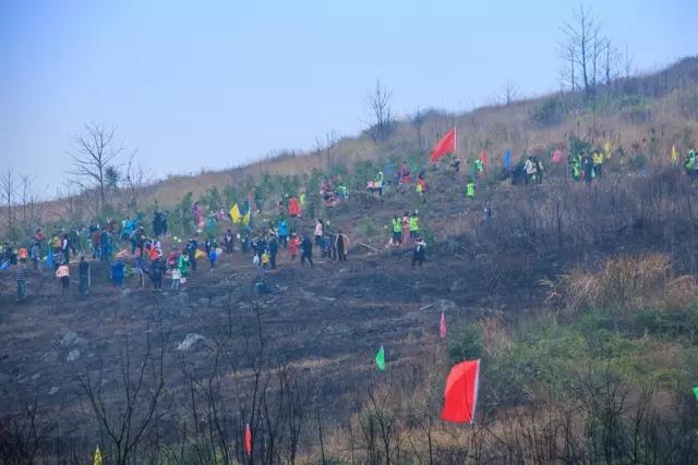 建设生态邵阳城，天娇集团在行动