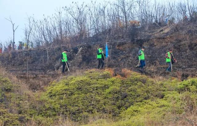 建设生态邵阳城，天娇集团在行动