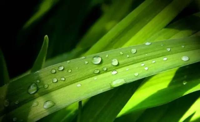 白露丨与CR-V一起,品味秋天的气息