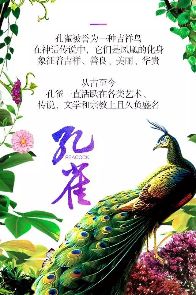 【915-918邵阳秋季车展】凤临枝头,雀雀雀雀雀实惊艳!