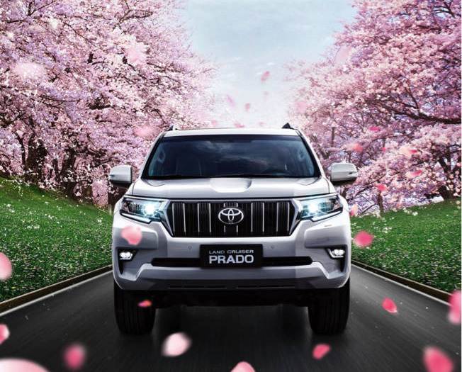 老司机支招 路边停车不蹭车胎的技巧