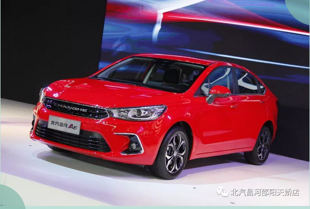 不负春光 | 最美出行季,拍档在这里!