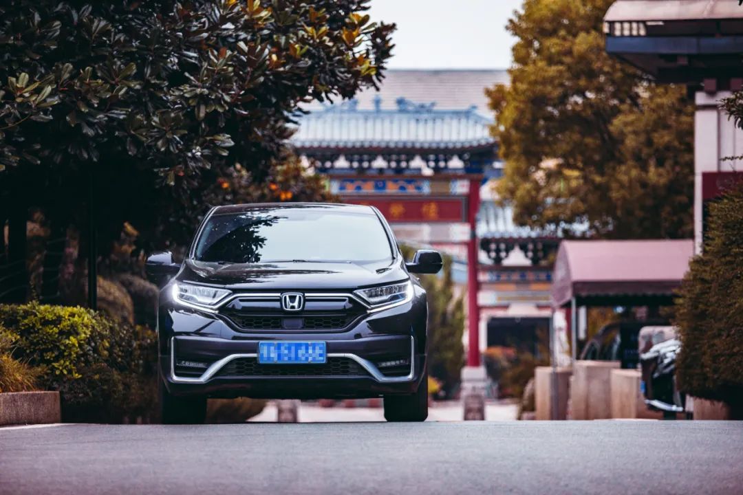 本人有料 | 愿历经千帆，归来仍是少年