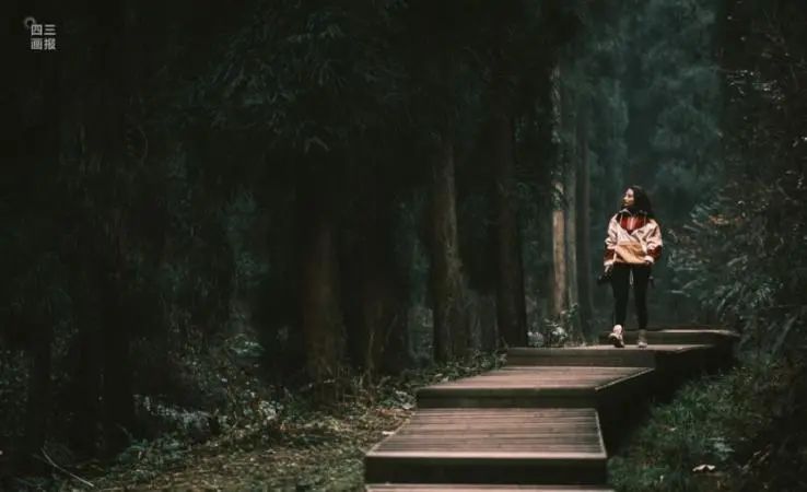 媒体视角 | CR-V 锐·混动e+经典不普通